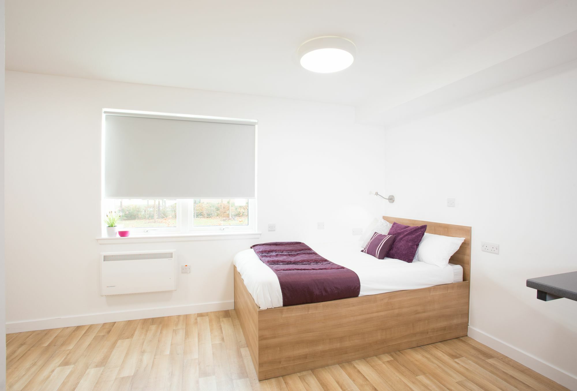 Uhi Fort William - Campus Accommodation エクステリア 写真